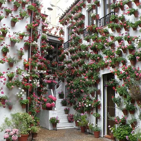 דירה El Balcon De La Mezquita קורדובה