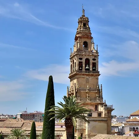 El Balcon De La Mezquita Lägenhet Córdoba