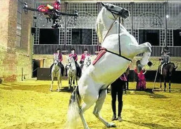 El Balcon De La Mezquita