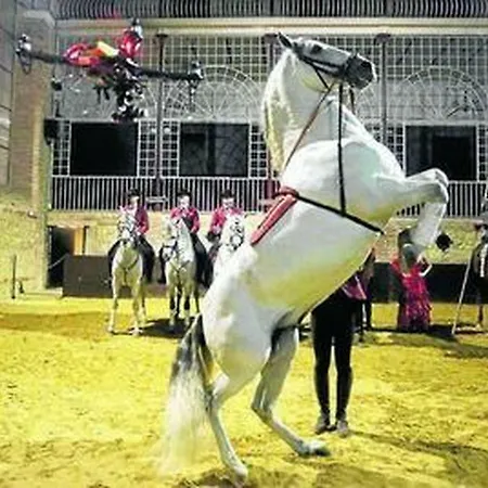 El Balcon De La Mezquita